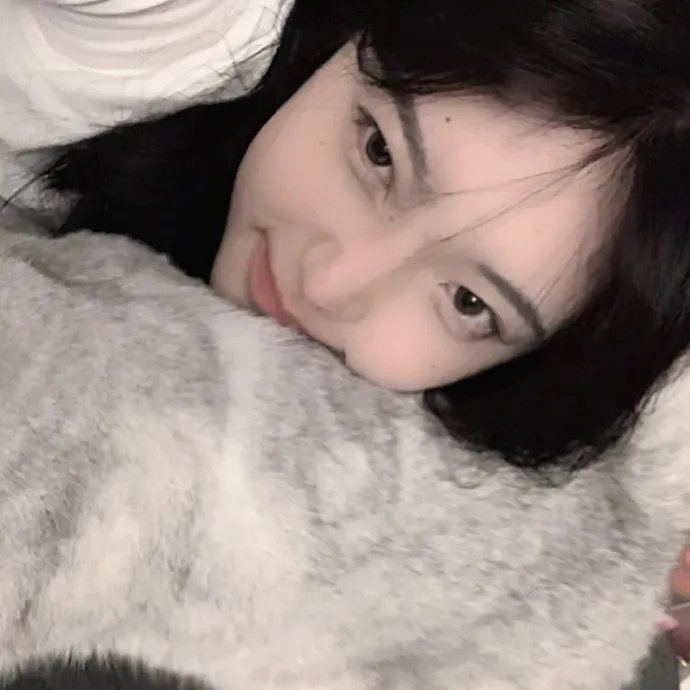 几度菊花香