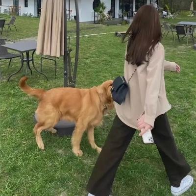 强扭的瓜